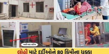 લોહી માટે ‘લોહી ઉકાળા’: નસવાડી બ્લડ બેંકનું રિન્યુઅલ અટકતા દર્દીઓની હાલત કફોડી, તંત્રની લાલિયાવાડી સ…