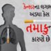 તમાકુ નિયંત્રણ અધિનિયમનો ભંગ કરતા 256 લોકો પકડાયા | 256 people arrested for violating Tobacco Contro…