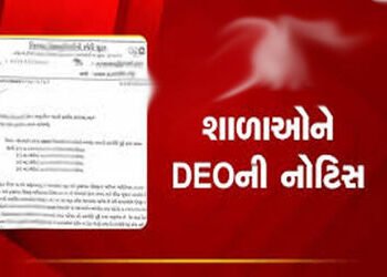 વેકેશનમાં શિક્ષણ કાર્ય શરૃ રાખનાર 3 શાળાને ડીઇઓની નોટિસ | DEO notice to 3 schools for starting teach…