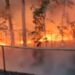 વડોદરામાં ગરમીને કારણે યુનિ.કેમ્પસ સહિત ચાર સ્થળે ઝાડીમાં આગ | Bush fires break out at four places i…