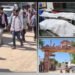 અમદાવાદના માંડલમાં રેતી ભરતા સમયે વિશાળ ભેખડ ધસી પડતા બે યુવાનોના કમકમાટીભર્યા મોત | mandal sher vil…