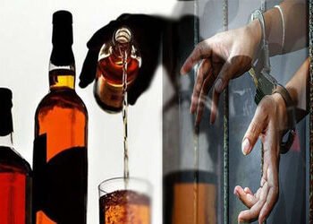 ગેંગ બનાવી વિદેશી દારૂનું નેટવર્ક ઉભું કરનાર ગુજસીટોક આરોપીની ધરપકડ, 15 દિવસના રિમાન્ડ મંજૂર | Vadod…