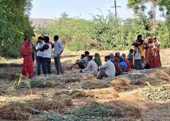 સાબરકાંઠા: ખેડબ્રહ્મામાં નદી કિનારે ખેતરમાં ઝાડ પર યુવક-યુવતીના લટકતી હાલતમાં મૃતદેહ મળ્યાં | Two Bo…