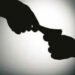 Bribe demand case filed against then Mamlatdar of Ghogha and his driver