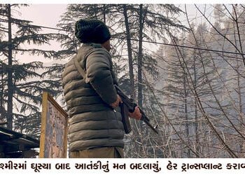 કાશ્મીરમાં ઘૂસ્યા બાદ આતંકીનું મન બદલાયું, હેર ટ્રાન્સપ્લાન્ટ કરાવ્યા | Terrorist changes mind after…