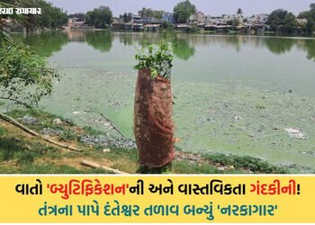 સ્માર્ટ સિટી વડોદરાનો વરવો ચહેરો: દંતેશ્વર તળાવની ગંદકીથી સ્થાનિકો ત્રાહિમામ, VMCની કામગીરી માત્ર ‘દ…