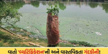 સ્માર્ટ સિટી વડોદરાનો વરવો ચહેરો: દંતેશ્વર તળાવની ગંદકીથી સ્થાનિકો ત્રાહિમામ, VMCની કામગીરી માત્ર ‘દ…