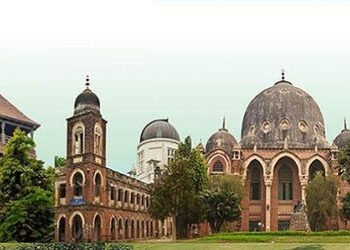 યુનિ.સત્તાધીશોને હવે વેબસાઈટ અપડેટ કરવાની છે તેવું યાદ આવ્યું | website of msu will be updated