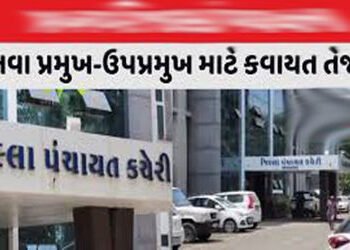 આજે જિલ્લાની 10 તાલુકા પંચાયતમાં પ્રમુખ-ઉપપ્રમુખની ચૂંટણી માટે ફોર્મ ભરાશે | Forms will be filled fo…