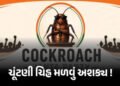 CJP બનાવી પણ ‘કોકરોચ’ ચૂંટણી ચિહ્ન મળવું મુશ્કેલ, જાણો ચૂંટણી પંચના નિયમો | Cockroach Janata Party V…