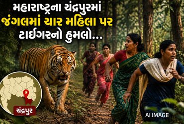 મહારાષ્ટ્રના ચંદ્રપુરમાં વાઘનો આતંક, 4 મહિલાને હુમલો કરી મોતને ઘાટ ઉતારતાં લોકોમાં ફફડાટ | Tiger Att…