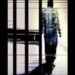 ભરણપોષણના કેસમાં 3 શખ્સને કેદની સજા | 3 people sentenced to prison in alimony case