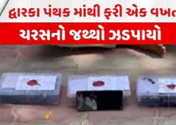 દ્વારકાના ઓખા મઢીમાંથી 1 કરોડના ચરસના જથ્થા સાથે શખ્સ ઝડપાયો | Man arrested with charas worth Rs 1 c…