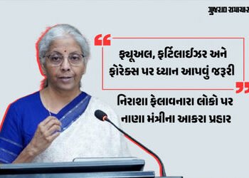 ફ્યૂઅલ ડ્યૂટી ઘટાડતા સરકાર પર ₹1 લાખ કરોડનો બોજ, પરંતુ ભારતનું અર્થતંત્ર મજબૂતઃ નિર્મલા સીતારમણનો દા…