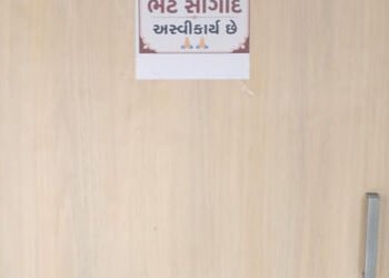 મેયર તરીકે કોઈ સવલત લઈશ નહીં , મેયર બંગલે રહેવા નહીં જઉ, પોતાની ઈ કાર વાપરીશ, હિતેશ બારોટ | I will n…