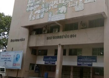 વડોદરા જિલ્લા પંચાયતની 8 સમિતિઓની રચના માટે પ્રમુખ મીટિંગ બોલાવશે,તાલુકા પંચાયતાેમાં પણ કવાયત | Eigh…