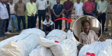 VIDEO| છોટા ઉદેપુર: કોલીયાથોર ગામે ખેતીની આડમાં ગાંજાનું વાવેતર, 78 લાખના જથ્થા સાથે માલિકની ધરપકડ |…