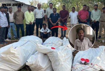 VIDEO| છોટા ઉદેપુર: કોલીયાથોર ગામે ખેતીની આડમાં ગાંજાનું વાવેતર, 78 લાખના જથ્થા સાથે માલિકની ધરપકડ |…