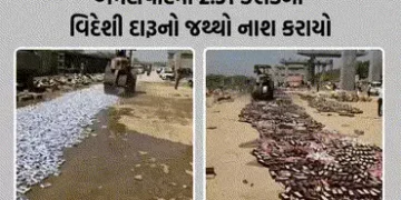 VIDEO: અમદાવાદમાં પ્રોહિબિશનના વિવિધ કેસોમાં જપ્ત કરાયેલો ₹2.31 કરોડનો વિદેશી દારૂનો જથ્થો નષ્ટ કરાય…