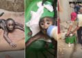 VIDEO: માતાથી વિખૂટું પડી ગરમી અને તરસથી વ્યાકુળ થયું વાનરબાળ, પછી જે થયું તેને દિલ જીત્યા | Baby mo…