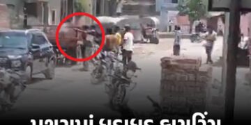 VIDEO : મથુરામાં પરિક્રમા માર્ગ પર ધડાધડ ફાયરિંગ, 4ને ગોળી વાગી, શ્રદ્ધાળુઓમાં નાસભાગ | Mathura Firi…