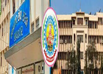 ભાવનગર મહાપાલિકામાં 10 પાસ મેયર, 9 પાસ ડેપ્યુટી મેયર | Bhavnagar Municipal Corporation has 10 pass m…