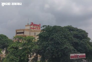 સાબરકાંઠા-અરવલ્લીના પશુપાલકો માટે ખુશખબર, સાબર ડેરીએ દૂધના ભાવમાં કર્યો વધારો | Sabar Dairy Milk Pro…