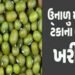 મોંઘવારીનાં ડામ વચ્ચે ટેકાના ભાવે મગની ખરીદીમાં રૂા. 110નો ઘટાડો | Amid inflation purchase of mugwor…