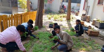 ફતેગંજની સ્કૂલમાં બાળકોએ 1200 ચોરસ મીટરનો કિચન ગાર્ડન બનાવ્યો | kitchen garden by students in mahara…