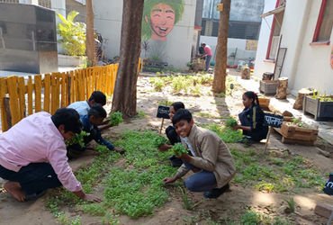 ફતેગંજની સ્કૂલમાં બાળકોએ 1200 ચોરસ મીટરનો કિચન ગાર્ડન બનાવ્યો | kitchen garden by students in mahara…