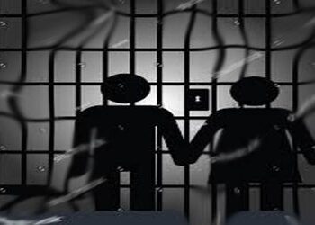 દયાળ ગામના દંપતીને 3 મહિના કેદની સજા | Couple from Dayal village sentenced to 3 months in prison