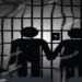 દયાળ ગામના દંપતીને 3 મહિના કેદની સજા | Couple from Dayal village sentenced to 3 months in prison