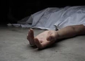 ખેતર નજીક વીજ કરંટ લાગતા શ્રમજીવીનું મોત | Worker dies after being electrocuted near farm
