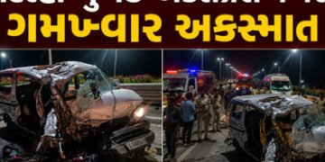 દિલ્હી-મુંબઈ એક્સપ્રેસ હાઈવે લોહીલુહાણ, ત્રિપલ અકસ્માતમાં કારનો બુકડો બોલાયો, 4 લોકોના મોત | Delhi M…