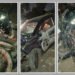 અમદાવાદ: અસલાલી બ્રિજ નજીક કાર અને બાઇક વચ્ચે અકસ્માત, બાઇકના કુરચા ઉડી ગયા, 3 ઇજાગ્રસ્ત | Ahmedabad…