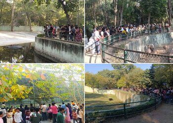 સુરત પાલિકાના નેચર પાર્કમાં 34 દિવસમાં 1.09 લાખ મુલાકાતીઓ ઉમટ્યા : 30.08 લાખની આવક | 1 09 lakh visit…
