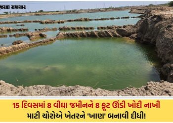VIDEO| ધોળકામાં માટી માફિયાઓ બેફામ: ખેડૂતની જાણ બહાર 8 વીઘા જમીન ખોદી 50,000 ઘનમીટર માટીની ચોરી | il…