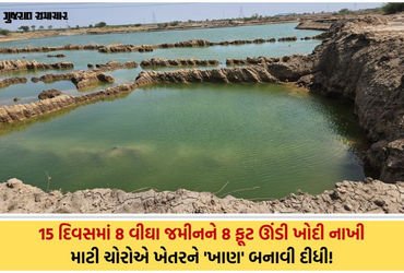 VIDEO| ધોળકામાં માટી માફિયાઓ બેફામ: ખેડૂતની જાણ બહાર 8 વીઘા જમીન ખોદી 50,000 ઘનમીટર માટીની ચોરી | il…