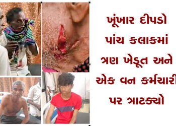 ખૂંખાર દીપડો પાંચ કલાકમાં ત્રણ ખેડૂત અને એક વન કર્મચારી પર ત્રાટક્યો | A ferocious leopard attacked …