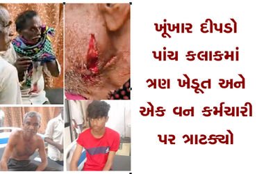 ખૂંખાર દીપડો પાંચ કલાકમાં ત્રણ ખેડૂત અને એક વન કર્મચારી પર ત્રાટક્યો | A ferocious leopard attacked …