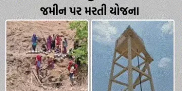 છોટાઉદેપુર: આંબાડુંગર ગામમાં પાણી માટે જીવનો સટ્ટો ખેલતી મહિલાઓ, પાણીની ટાંકી શોભાના ગાંઠિયા સમાન | …