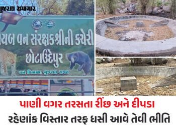 છોટાઉદેપુર: ચેથાપુરના જંગલમાં વન વિભાગની ઘોર બેદરકારી, કાળઝાળ ગરમીમાં વન્યજીવો માટે બનાવેલો હવાડા ખા…