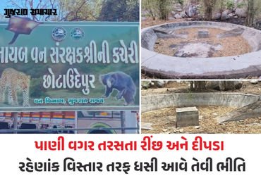 છોટાઉદેપુર: ચેથાપુરના જંગલમાં વન વિભાગની ઘોર બેદરકારી, કાળઝાળ ગરમીમાં વન્યજીવો માટે બનાવેલો હવાડા ખા…