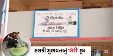 વાવ થરાદ: વાસણા પ્રાથમિક શાળામાં બાળકોના સ્વાસ્થ્ય સાથે ખેલ! દૂધ સંજીવનીના પાઉચ હલકી ગુણવત્તાવાળા ની…