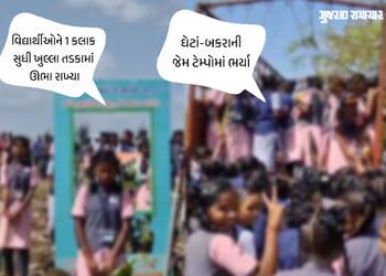 વલસાડમાં ‘એક પેડ મા કે નામ’ કાર્યક્રમમાં સંવેદનશીલતા ભુલાઈ, વિદ્યાર્થીઓને 1 કલાક સુધી આકરા તડકામાં ઊ…