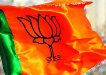 ભરૃચ ભાજપની જેમ વડોદરા જિલ્લા ભાજપમાં પણ ઉકળાટ,એક હોદ્દેદારના વર્તનથી કાર્યકરો નારાજ | Like Bharuch …
