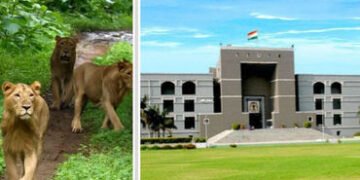 ગીર સરહદે ચાલતા ગેરકાયદે રિસોર્ટ-હોટેલો મુદ્દે PIL:બફર ઝોનમાં લોકોના પ્રવેશ પર સદંતર પ્રતિબંધ મૂકો: …