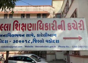 ધો.11 સાયન્સમાં પ્રવેશ માટે ડીઈઓ કચેરીએ યોજેલા કેમ્પમાં માત્ર 36 વિદ્યાર્થીઓ આવ્યા | only 36 student…