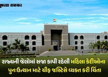 ‘જેલમાંથી છૂટેલી મહિલાઓની દરકાર કોઈ નથી રાખતું, આ સમાજની કરૂણતા’: હાઈકોર્ટની ચિંતા | gujarat high co…