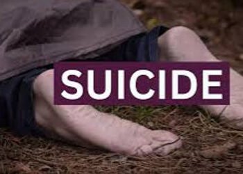 વાસદ બ્રિજ પરથી ભૂસકો મારીને યુવકનો આપઘાત | Youth commits suicide by jumping off Vasad Bridge